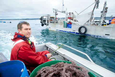 Peninsula Fresh Seafood - Yarra Valley Accommodation 0