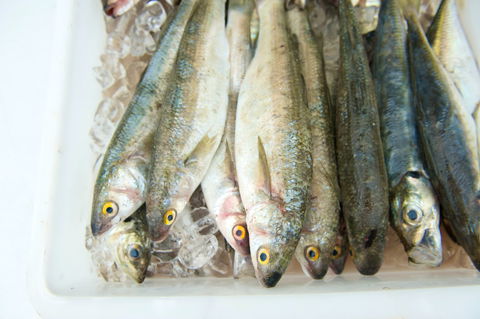 Peninsula Fresh Seafood - Yarra Valley Accommodation 2