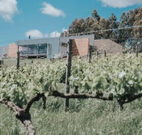 Green Door Winery  Cafe - Yarra Valley Accommodation