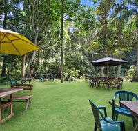 Rainforest - Yarra Valley Accommodation