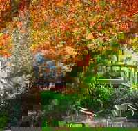 The Woods Ravensbourne - Yarra Valley Accommodation