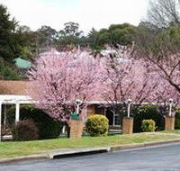 White Lanterns Motel - Yarra Valley Accommodation