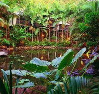 Daintree Eco Lodge  Spa - Yarra Valley Accommodation