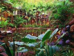 Daintree QLD Yarra Valley Accommodation