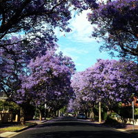 Book Wayville Accommodation Vacations Yarra Valley Accommodation Yarra Valley Accommodation