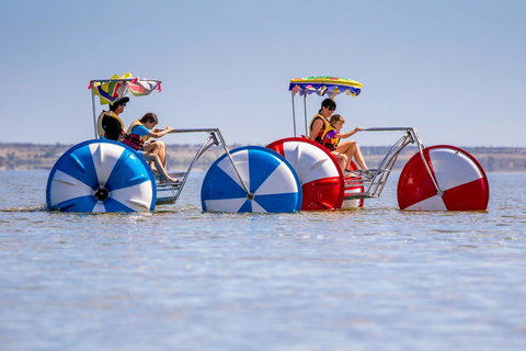 Discovery Parks - Lake Bonney - Yarra Valley Accommodation 26