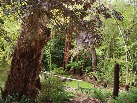 Hilltop - Yarra Valley Accommodation 13