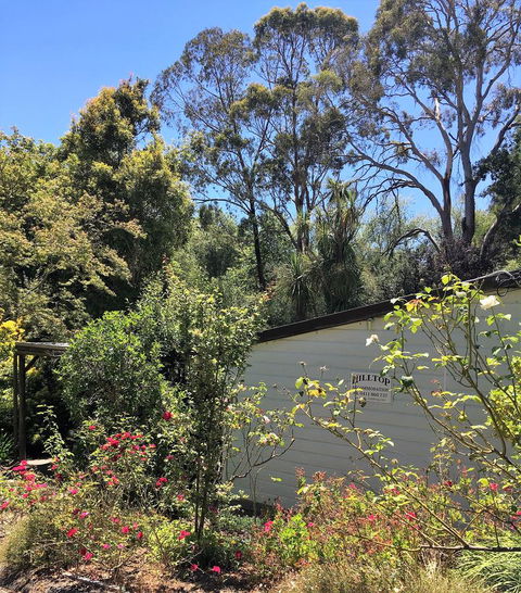 Hilltop - Yarra Valley Accommodation 9