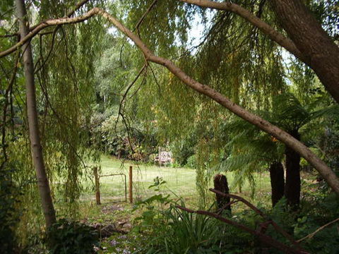 Hilltop - Yarra Valley Accommodation 16