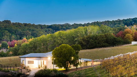 Esto House - Yarra Valley Accommodation 22