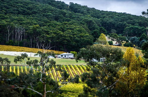 Esto House - Yarra Valley Accommodation 4