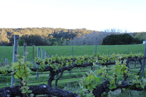 Esto House - Yarra Valley Accommodation 23