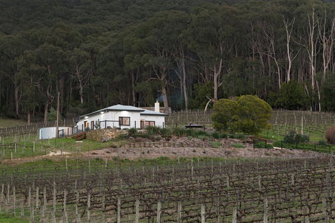Esto House - Yarra Valley Accommodation 3