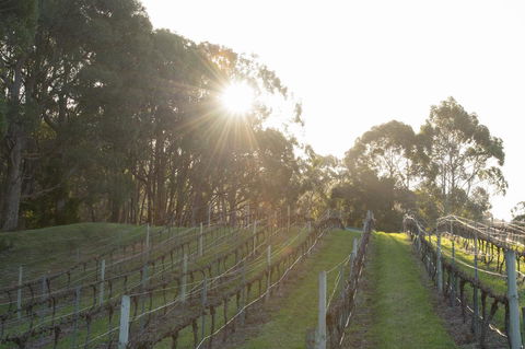 Esto House - Yarra Valley Accommodation 2