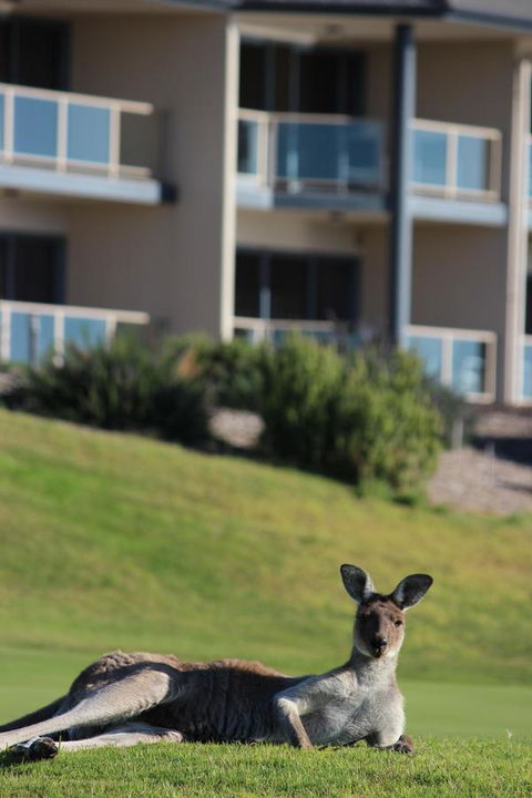 Lady Bay Hotel - Yarra Valley Accommodation 16