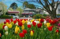 Book Leura Accommodation Vacations Yarra Valley Accommodation Yarra Valley Accommodation