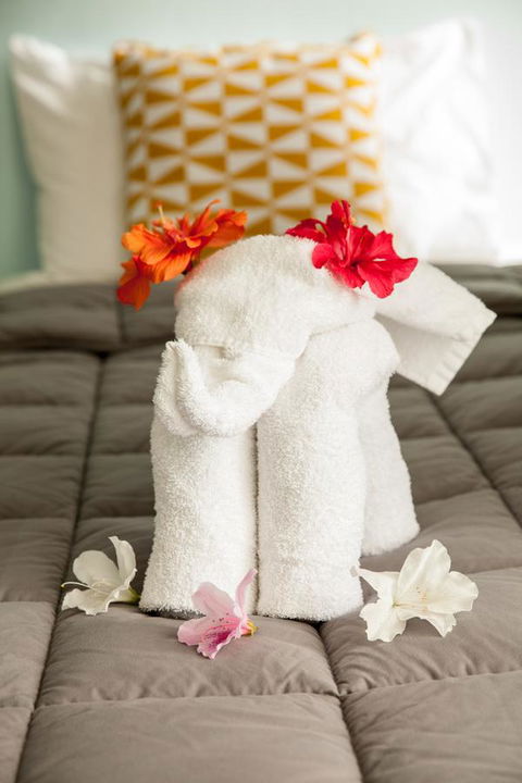 Kempsey Rose Motor Inn - Yarra Valley Accommodation 17