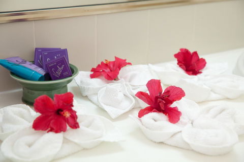 Kempsey Rose Motor Inn - Yarra Valley Accommodation 14