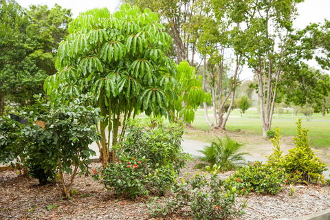 Kempsey Rose Motor Inn - Yarra Valley Accommodation 42