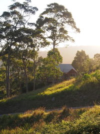 Book Bawley Point Accommodation Vacations Yarra Valley Accommodation Yarra Valley Accommodation