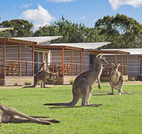 Discovery Parks  Pambula Beach - Yarra Valley Accommodation