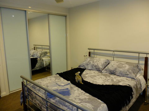 Rock Wallaby - Yarra Valley Accommodation 14