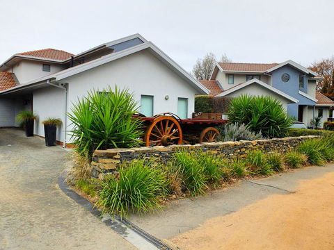 Rock Wallaby - Yarra Valley Accommodation 5