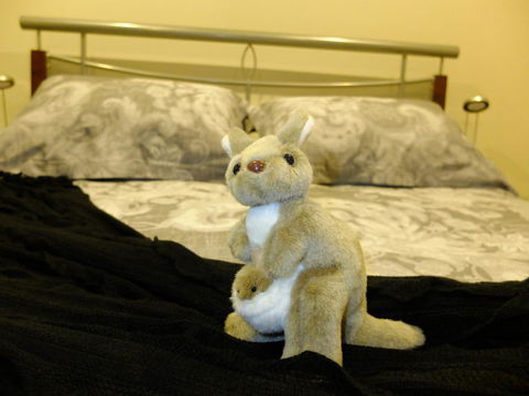 Rock Wallaby - Yarra Valley Accommodation 17