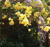 Bowral Road Bed and Breakfast - Yarra Valley Accommodation