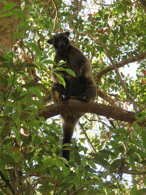 Bushland Cottages And Lodge - Yarra Valley Accommodation 3