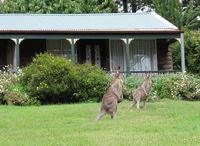 Book Mount Victoria Accommodation Vacations Yarra Valley Accommodation Yarra Valley Accommodation
