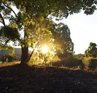 Clarendon Forest Retreat - Yarra Valley Accommodation
