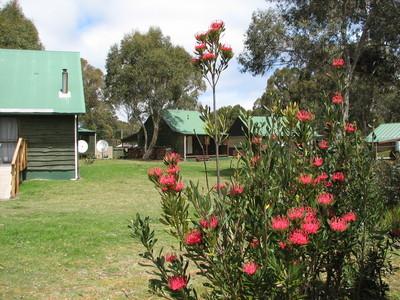 Derwent Bridge Chalets & Studios - Yarra Valley Accommodation 1