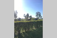 Book Benalla Accommodation Vacations Yarra Valley Accommodation Yarra Valley Accommodation