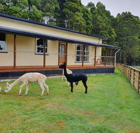 Farm Stay Lowana Strahan - Yarra Valley Accommodation