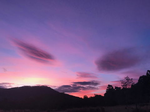 Forest Walks Lodge - Yarra Valley Accommodation 2