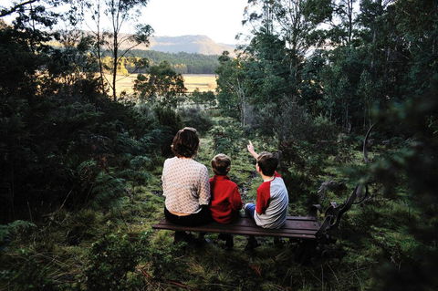Forest Walks Lodge - Yarra Valley Accommodation 3