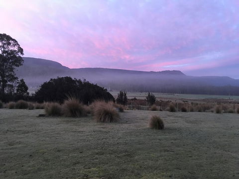 Forest Walks Lodge - Yarra Valley Accommodation 1