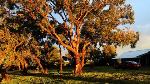 French Island Cottage - Yarra Valley Accommodation 1