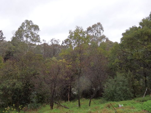 Mandall Avenue - Yarra Valley Accommodation 2