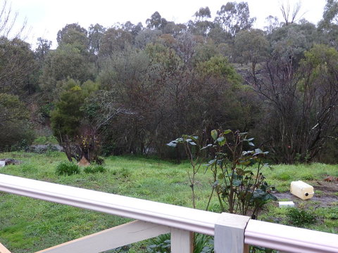 Mandall Avenue - Yarra Valley Accommodation 1