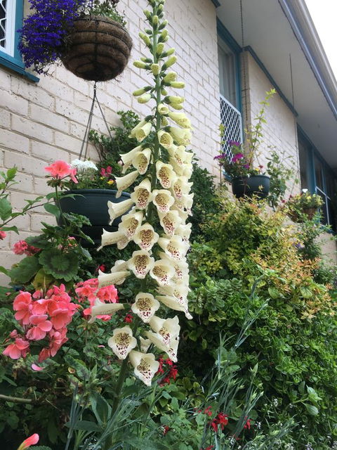 1849 Backpackers Albany - Yarra Valley Accommodation 32