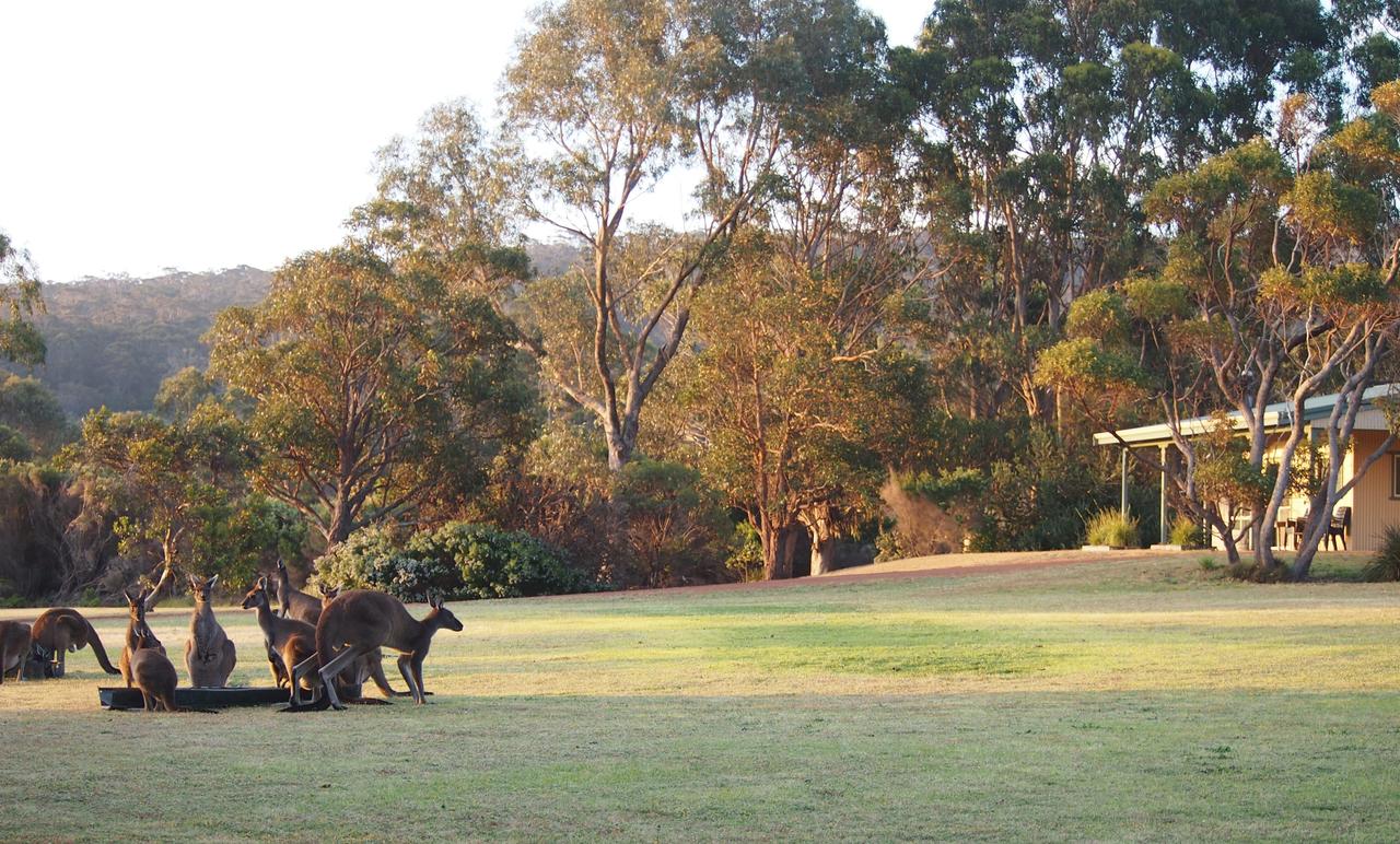 Walpole WA Yarra Valley Accommodation