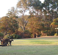 Riverside Retreat Chalets Walpole - Yarra Valley Accommodation