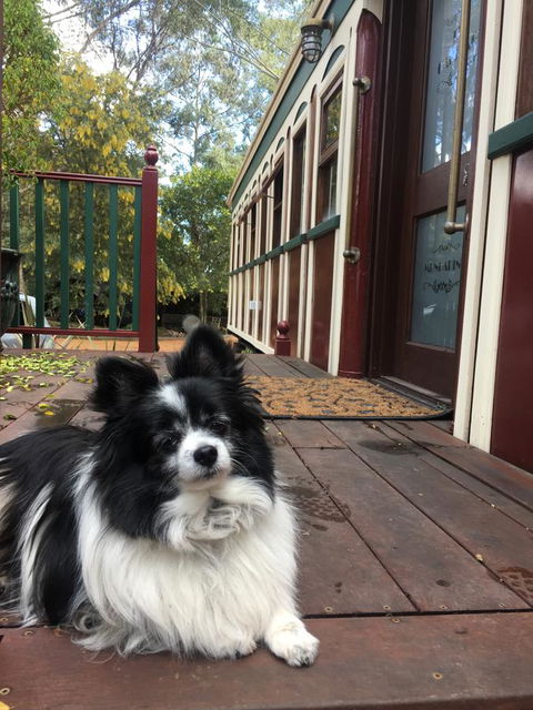 Quiet Escapes Cottages - Yarra Valley Accommodation 15