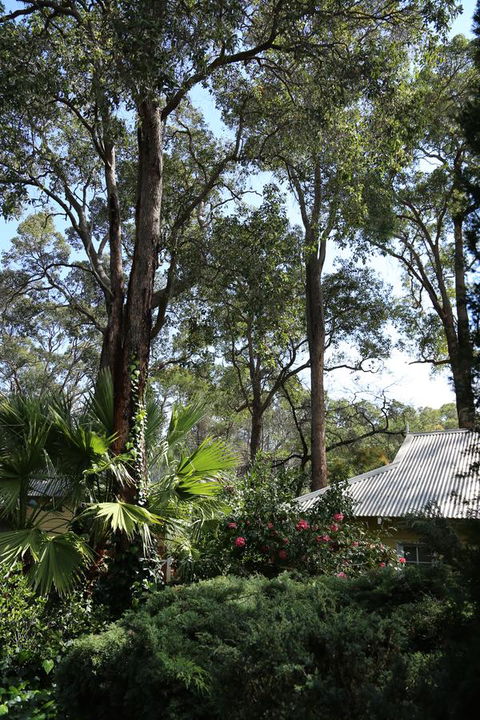 Two Sisters Chalets - Yarra Valley Accommodation 33