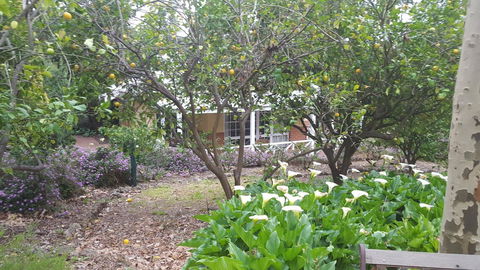 Two Sisters Chalets - Yarra Valley Accommodation 15