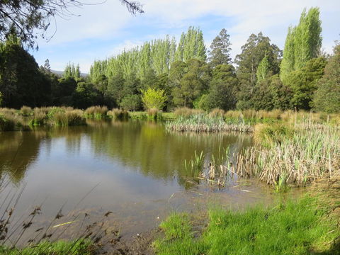 Giants Table And Cottages - Yarra Valley Accommodation 25