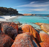 Homelea Accommodation - Yarra Valley Accommodation