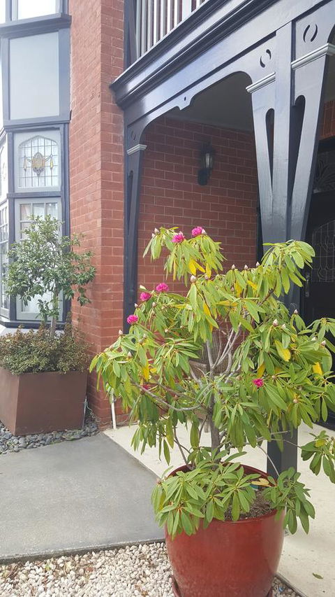 Insomnia On Elizabeth - Yarra Valley Accommodation 35